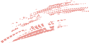 ReRide Logo